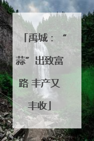 禹城：“蒜”出致富路 丰产又丰收