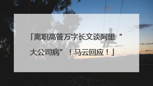 离职高管万字长文谈阿里“大公司病”！马云回应！