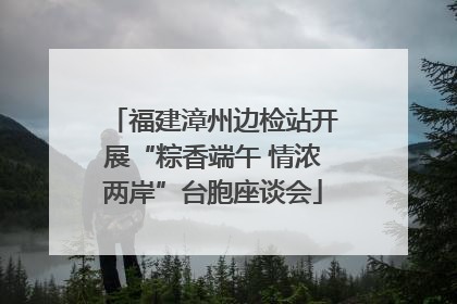 福建漳州边检站开展“粽香端午 情浓两岸”台胞座谈会