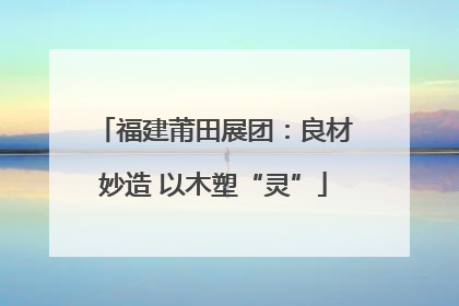 福建莆田展团：良材妙造 以木塑“灵”