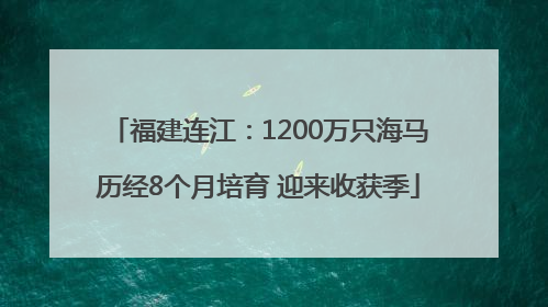福建连江：1200万只海马历经8个月培育 迎来收获季