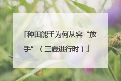 种田能手为何从容“放手”（三夏进行时）