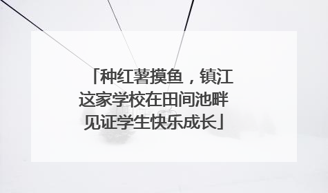 种红薯摸鱼，镇江这家学校在田间池畔见证学生快乐成长
