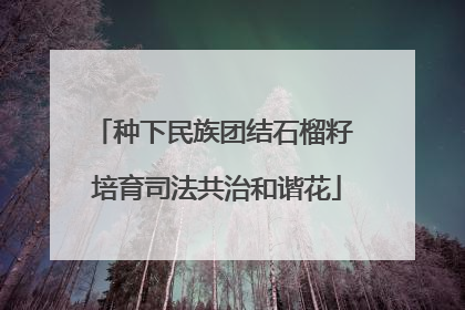 种下民族团结石榴籽 培育司法共治和谐花