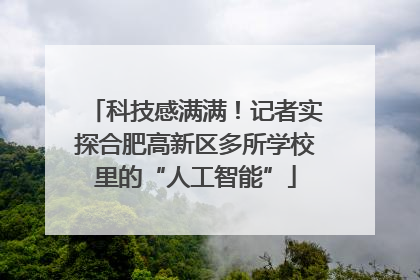 科技感满满！记者实探合肥高新区多所学校里的“人工智能”