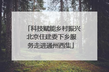 科技赋能乡村振兴 北京住建委下乡服务走进通州西集