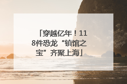 穿越亿年！118件恐龙“镇馆之宝”齐聚上海