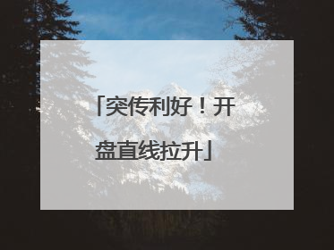 突传利好！开盘直线拉升