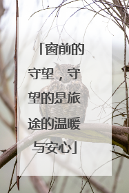 窗前的守望，守望的是旅途的温暖与安心