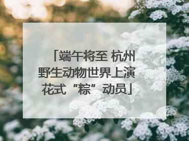 端午将至 杭州野生动物世界上演花式“粽”动员