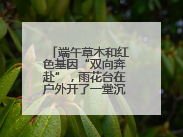 端午草木和红色基因“双向奔赴”，雨花台在户外开了一堂沉浸式思政课