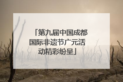 第九届中国成都国际非遗节广元活动精彩纷呈
