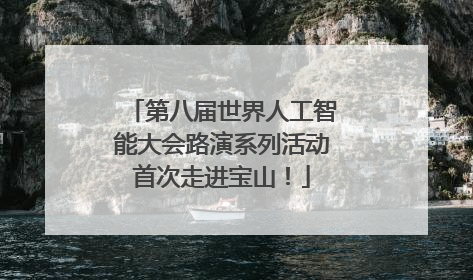 第八届世界人工智能大会路演系列活动首次走进宝山！