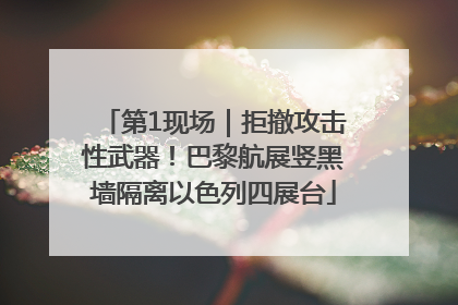 第1现场｜拒撤攻击性武器！巴黎航展竖黑墙隔离以色列四展台