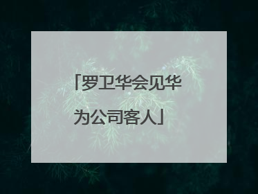 罗卫华会见华为公司客人