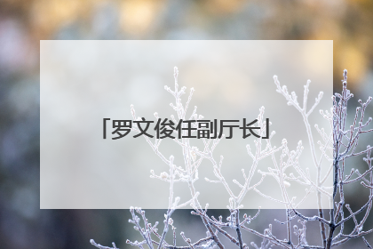 罗文俊任副厅长