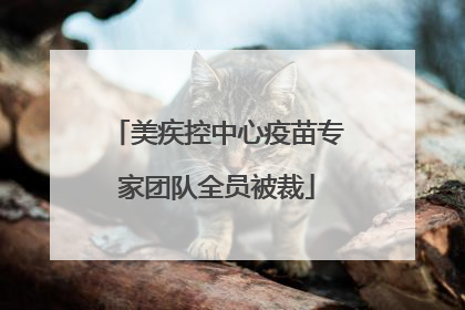 美疾控中心疫苗专家团队全员被裁
