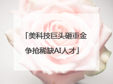 美科技巨头砸重金争抢稀缺AI人才