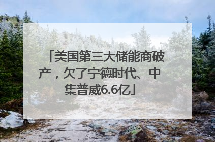美国第三大储能商破产，欠了宁德时代、中集普威6.6亿