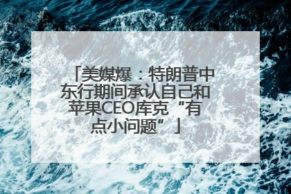 美媒爆：特朗普中东行期间承认自己和苹果CEO库克“有点小问题”