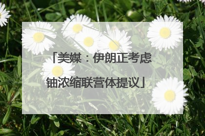 美媒：伊朗正考虑铀浓缩联营体提议