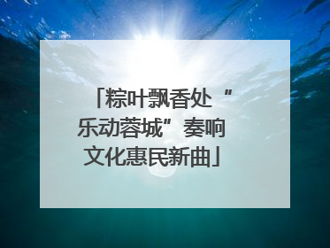粽叶飘香处“乐动蓉城”奏响文化惠民新曲