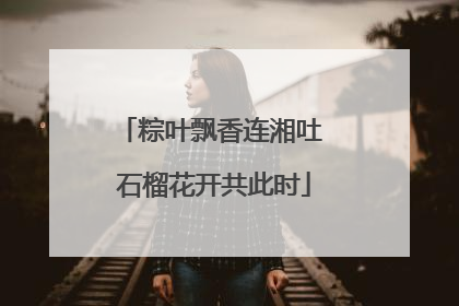 粽叶飘香连湘吐 石榴花开共此时