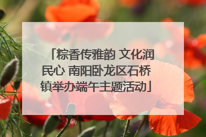 粽香传雅韵 文化润民心 南阳卧龙区石桥镇举办端午主题活动