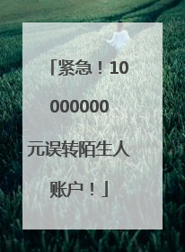 紧急！10000000元误转陌生人账户！