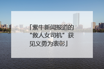 紫牛新闻报道的“救人女司机”获见义勇为表彰