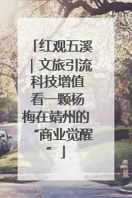 红观五溪｜文旅引流 科技增值 看一颗杨梅在靖州的“商业觉醒”