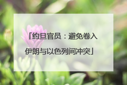 约旦官员：避免卷入伊朗与以色列间冲突