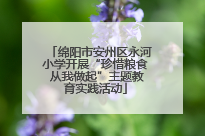 绵阳市安州区永河小学开展“珍惜粮食 从我做起”主题教育实践活动