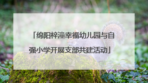 绵阳梓潼幸福幼儿园与自强小学开展支部共建活动