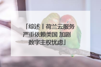 综述丨荷兰云服务严重依赖美国 加剧数字主权忧虑