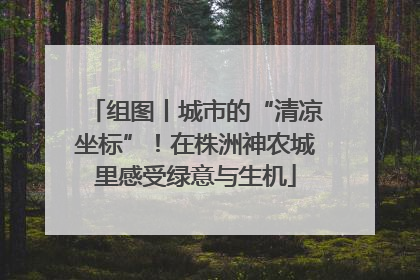 组图丨城市的“清凉坐标”！在株洲神农城里感受绿意与生机