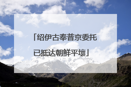 绍伊古奉普京委托已抵达朝鲜平壤