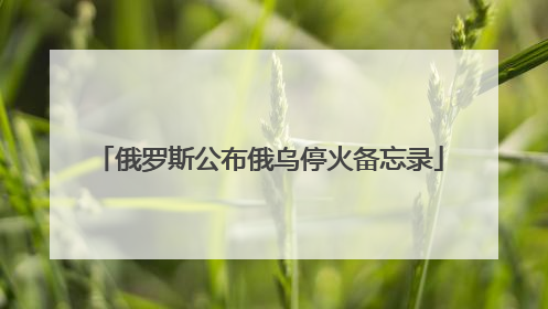 俄罗斯公布俄乌停火备忘录