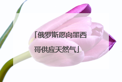 俄罗斯愿向墨西哥供应天然气