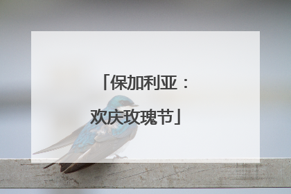 保加利亚：欢庆玫瑰节