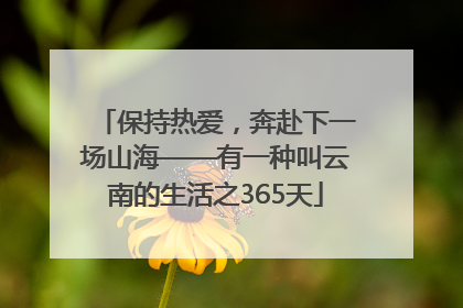 保持热爱，奔赴下一场山海——有一种叫云南的生活之365天