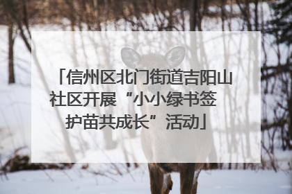 信州区北门街道吉阳山社区开展“小小绿书签 护苗共成长”活动
