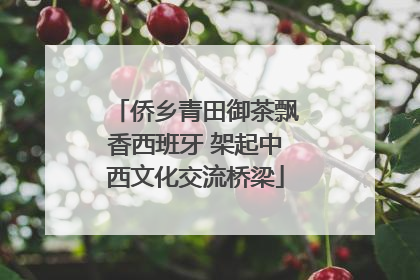 侨乡青田御茶飘香西班牙 架起中西文化交流桥梁