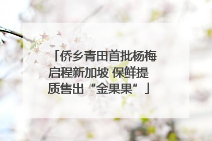 侨乡青田首批杨梅启程新加坡 保鲜提质售出“金果果”