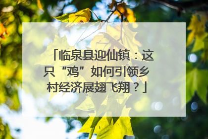 临泉县迎仙镇：这只“鸡”如何引领乡村经济展翅飞翔？