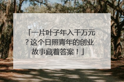 一片叶子年入千万元？这个日照青年的创业故事藏着答案！