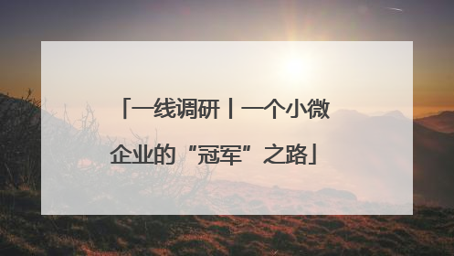 一线调研丨一个小微企业的“冠军”之路