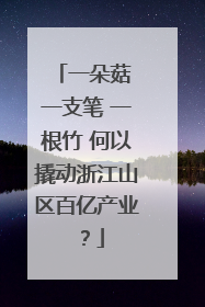 一朵菇 一支笔 一根竹 何以撬动浙江山区百亿产业？