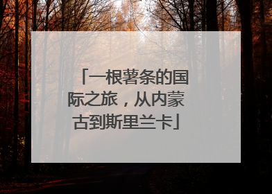 一根薯条的国际之旅，从内蒙古到斯里兰卡