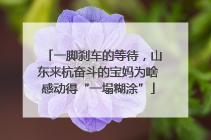 一脚刹车的等待，山东来杭奋斗的宝妈为啥感动得“一塌糊涂”